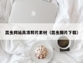 新泰昆虫网站高清照片素材（昆虫图片下载）